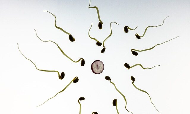 Czy można wypłukać spermę i uniknąć ciąży?